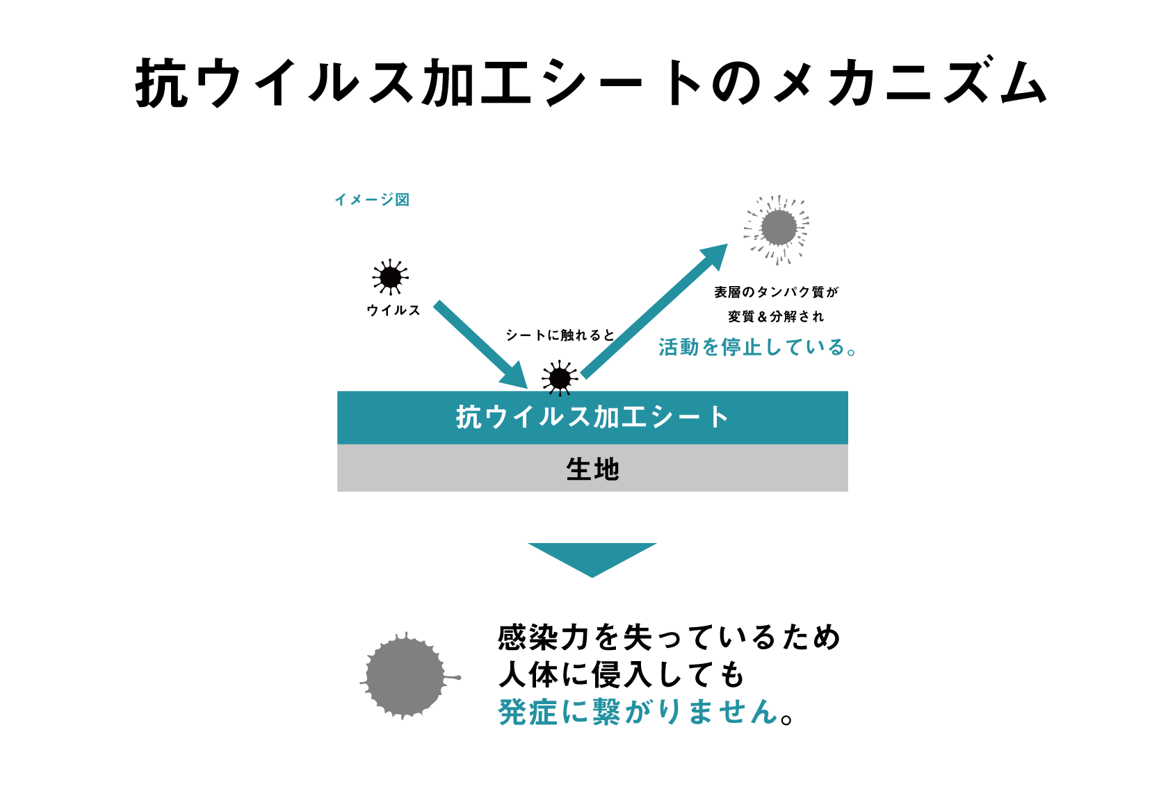 抗ウイルス加工シートの
メカニズム。シートに触れることで、ウイルスの表層のタンパク質が変質&分解され活動の停止を促します。感染力を失っているため人体に侵入しても発症に繋がりません。一旦抑制したウィルスは再び活動をすることはないと言われてます。