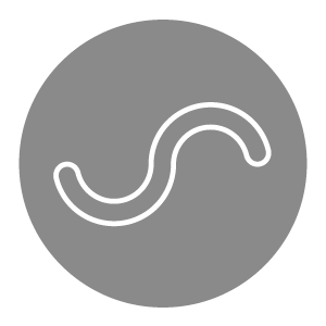 ストローケース